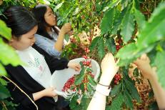 한림성심대 바리스타제과제빵과, 커피농원서 현장 체험학습