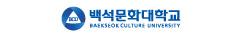 백석문화대학교