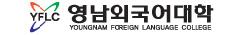 영남외국어대학